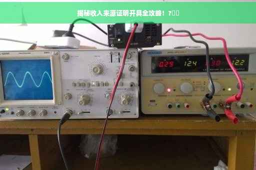 揭秘收入来源证明开具全攻略！?⚡️