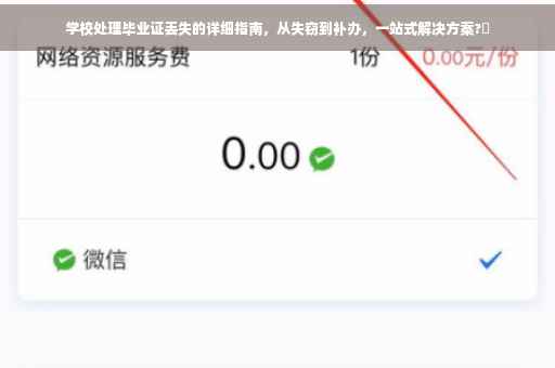 学校处理毕业证丢失的详细指南，从失窃到补办，一站式解决方案?✨