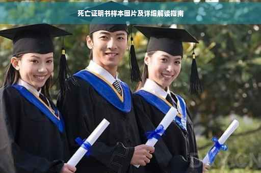 死亡证明书样本图片及详细解读指南