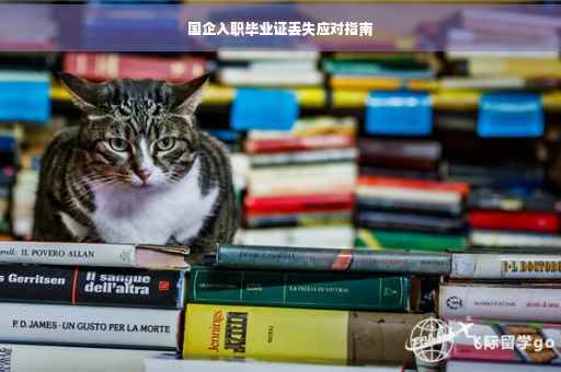 国企入职毕业证丢失应对指南