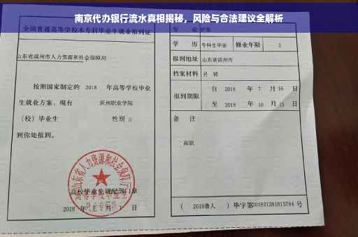 南京代办银行流水真相揭秘，风险与合法建议全解析