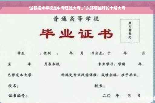 诚毅技术学校是中专还是大专,广东环境最好的十所大专