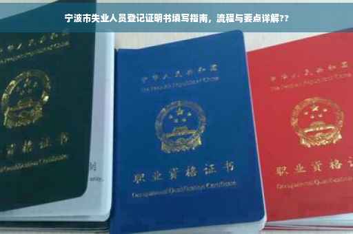 宁波市失业人员登记证明书填写指南，流程与要点详解??