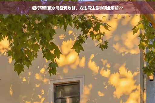 银行转账流水号查询攻略，方法与注意事项全解析??