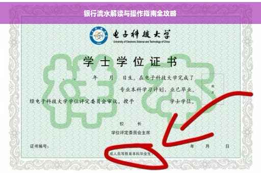 银行流水解读与操作指南全攻略