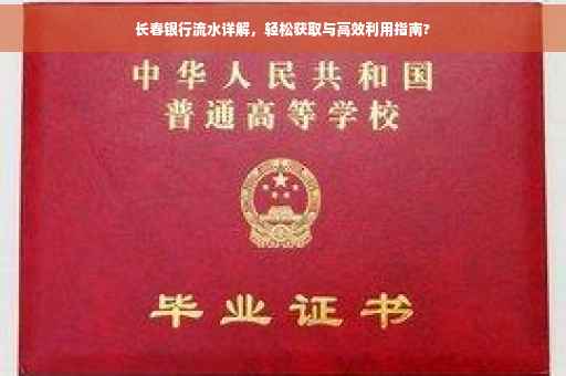 长春银行流水详解，轻松获取与高效利用指南?