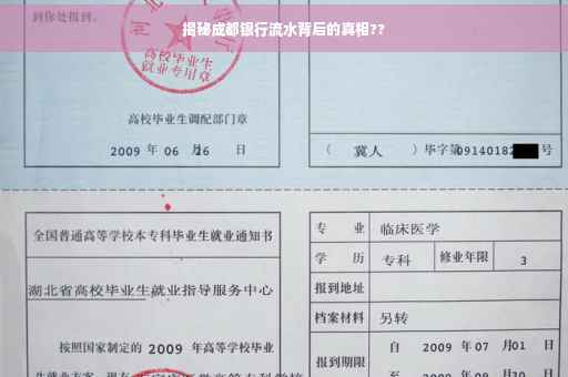 揭秘成都银行流水背后的真相??