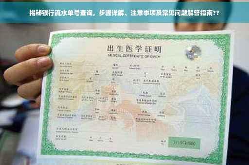 揭秘银行流水单号查询，步骤详解、注意事项及常见问题解答指南??