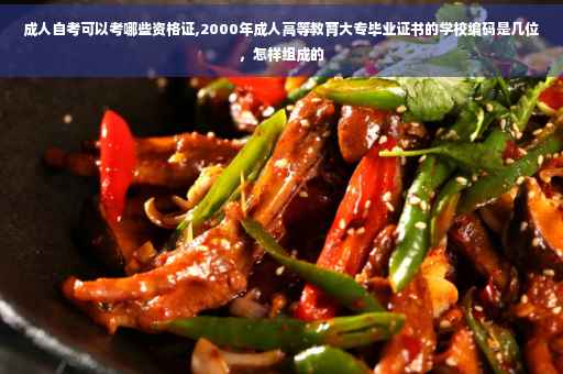成人自考可以考哪些资格证,2000年成人高等教育大专毕业证书的学校编码是几位，怎样组成的