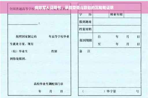 病故军人证明书，承载荣誉与致敬的沉甸甸证明
