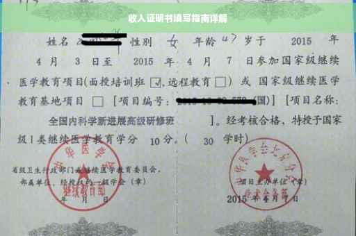 收入证明书填写指南详解
