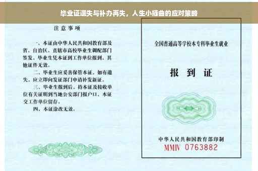 毕业证遗失与补办再失，人生小插曲的应对策略