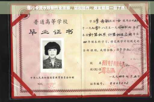 银行卡流水账制作全攻略，轻松操作，收支明细一目了然！