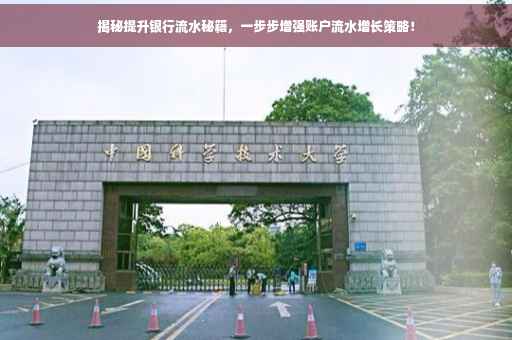 揭秘提升银行流水秘籍，一步步增强账户流水增长策略！