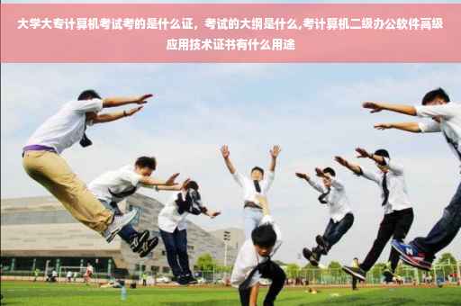 大学大专计算机考试考的是什么证，考试的大纲是什么,考计算机二级办公软件高级应用技术证书有什么用途