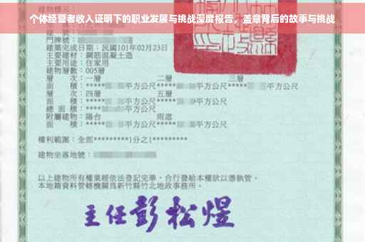 个体经营者收入证明下的职业发展与挑战深度报告，盖章背后的故事与挑战