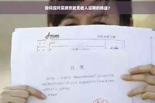 如何应对买房贷款无收入证明的挑战？