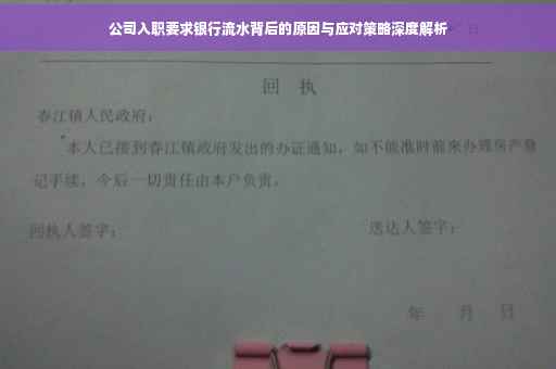 公司入职要求银行流水背后的原因与应对策略深度解析