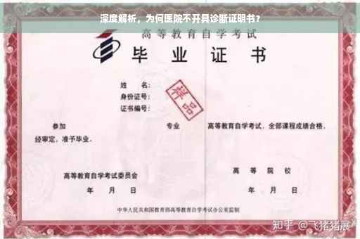 深度解析，为何医院不开具诊断证明书？