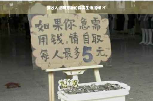 微收入证明背后的真实生活揭秘 ?✨