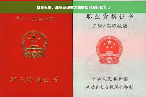 毕业五年，毕业证遗失之路的探寻与回忆?⚡️