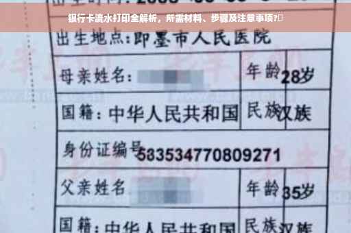 银行卡流水打印全解析，所需材料、步骤及注意事项?✨