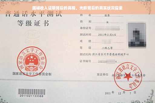 揭秘收入证明背后的真相，光鲜背后的真实状况探索