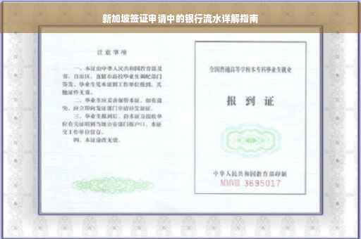 新加坡签证申请中的银行流水详解指南