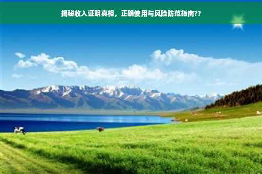 揭秘收入证明真相，正确使用与风险防范指南??