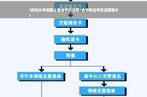 ?如何从学信网上查询学历证明?自学考试学历证明图片
?