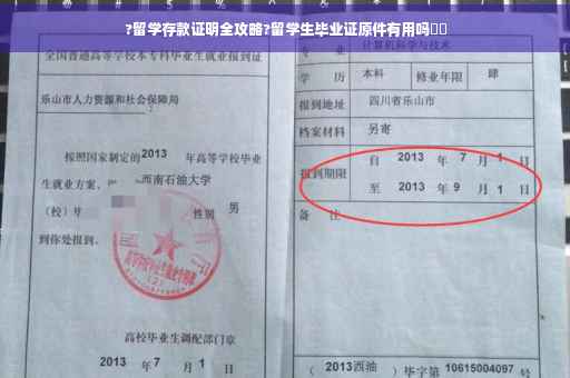 ?留学存款证明全攻略?留学生毕业证原件有用吗⚡️