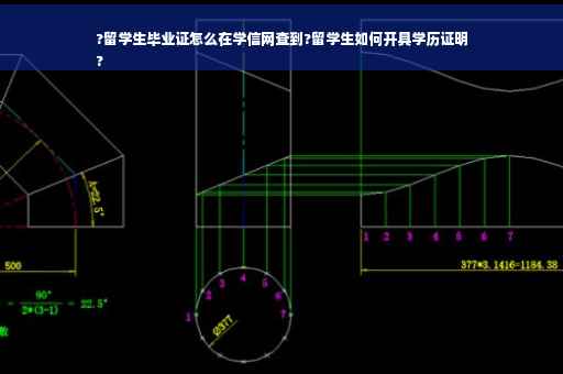 ?留学生毕业证怎么在学信网查到?留学生如何开具学历证明
?