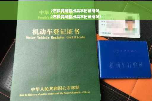 ?市教育局能出具学历证明吗
?市教育局能出具学历证明吗?