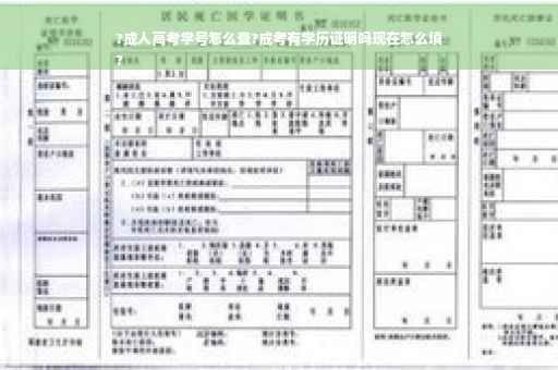 ?成人高考学号怎么查?成考有学历证明吗现在怎么填
?