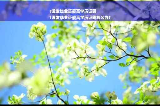 ?没发毕业证最高学历证明
?没发毕业证最高学历证明怎么办?