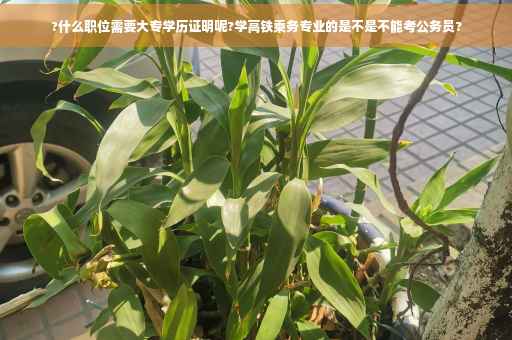 ?什么职位需要大专学历证明呢?学高铁乘务专业的是不是不能考公务员?