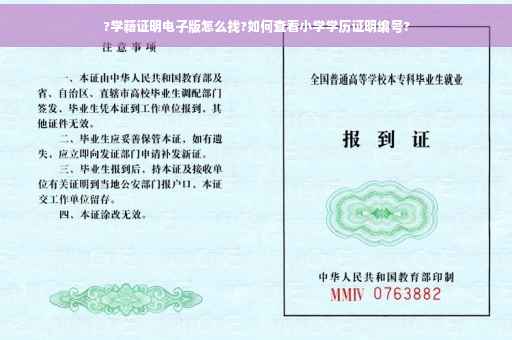 ?学籍证明电子版怎么找?如何查看小学学历证明编号?