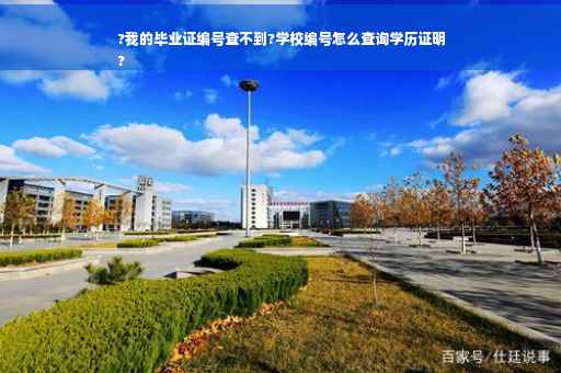 ?我的毕业证编号查不到?学校编号怎么查询学历证明
?