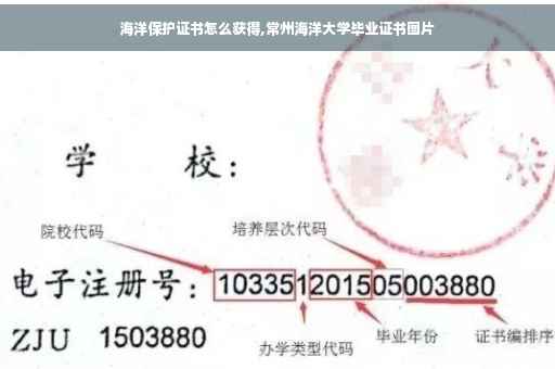 海洋保护证书怎么获得,常州海洋大学毕业证书图片