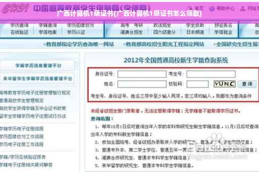 广西计算机1级证书(广西计算机1级证书怎么领取)