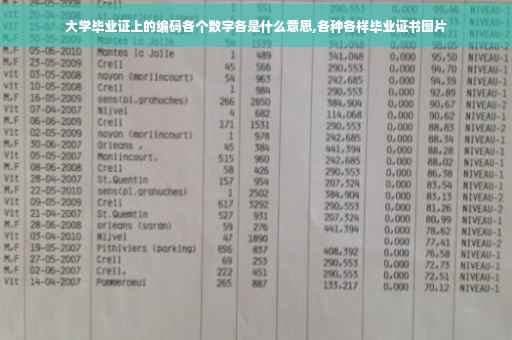 大学毕业证上的编码各个数字各是什么意思,各种各样毕业证书图片