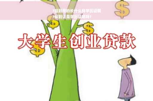 ?报到用的长什么样学历证明
?报到证是学历证明吗?