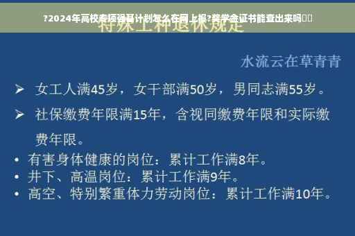 ?2024年高校专项强基计划怎么在网上报?奖学金证书能查出来吗⚡️