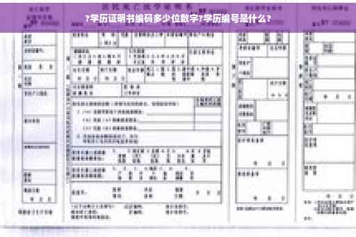 ?学历证明书编码多少位数字?学历编号是什么?
