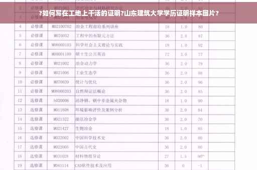 ?如何写在工地上干活的证明?山东建筑大学学历证明样本图片?