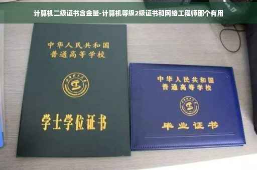 计算机二级证书含金量-计算机等级2级证书和网络工程师那个有用