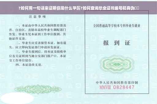 ?如何用一句话来证明你是什么学历?如何查询毕业证书编号和真伪⚡️