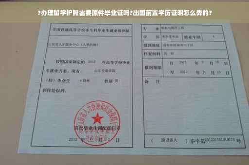 ?办理留学护照需要原件毕业证吗?出国前置学历证明怎么弄的?
