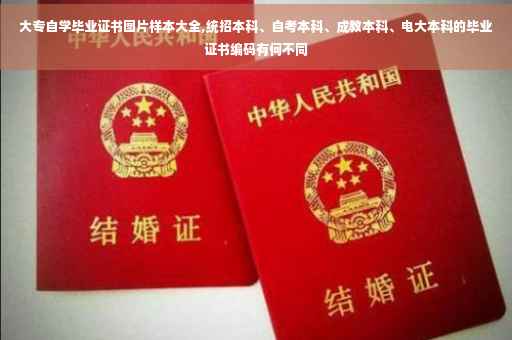 大专自学毕业证书图片样本大全,统招本科、自考本科、成教本科、电大本科的毕业证书编码有何不同