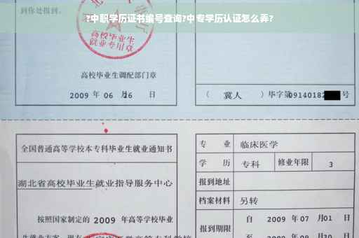 ?中职学历证书编号查询?中专学历认证怎么弄?